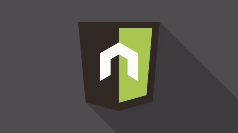 软件开发公司